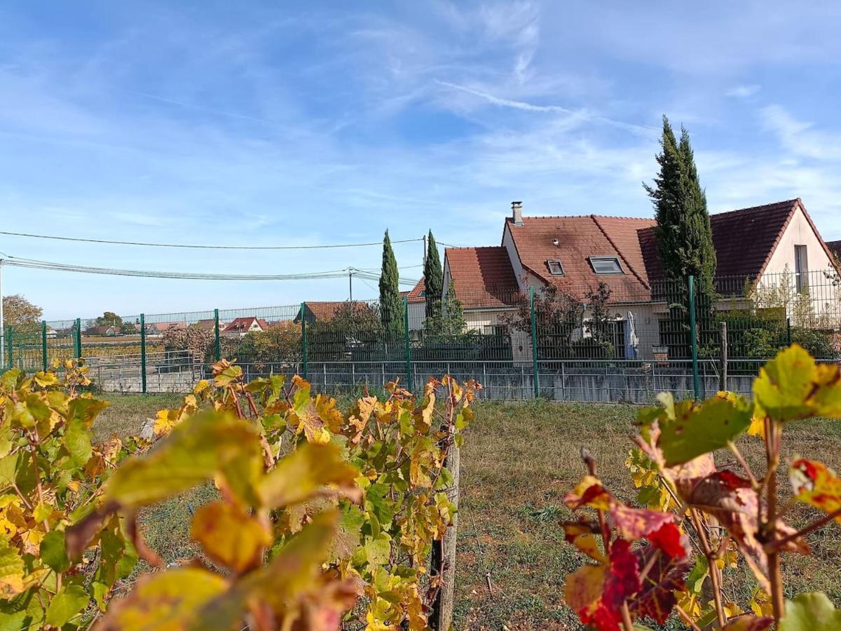 Villa Des Climats Bourgogne Marsannay-la-Côte Exteriér fotografie
